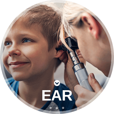 Ear