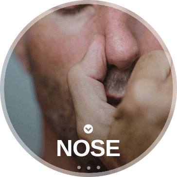 Nose